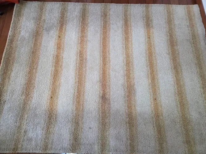 Tapete de casa