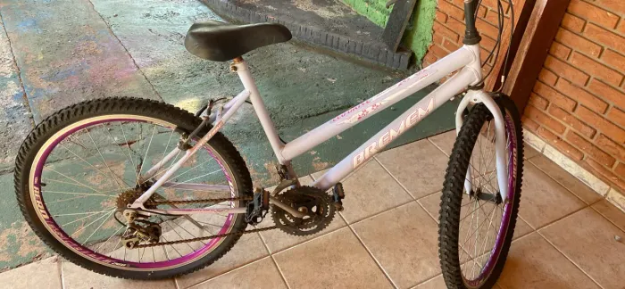 Bicicleta Feminina