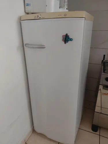 Geladeira Electrolux 110v