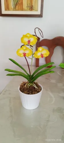Arranjo de Orquídea Vanda Artesanal