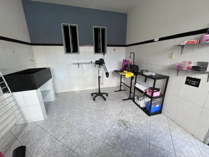 Vendo banho e tosa completo