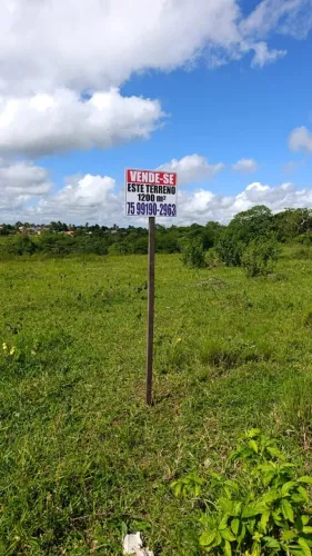 Terreno  1200m² em Amélia Rodrigues no Bairro do Ora Bola