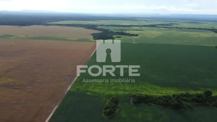 Fazenda a venda no Mato Grosso
