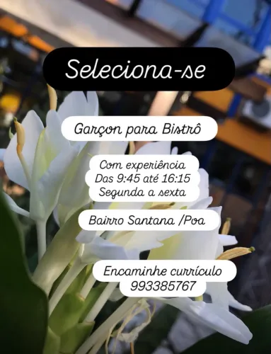 Garçon para Bistrô