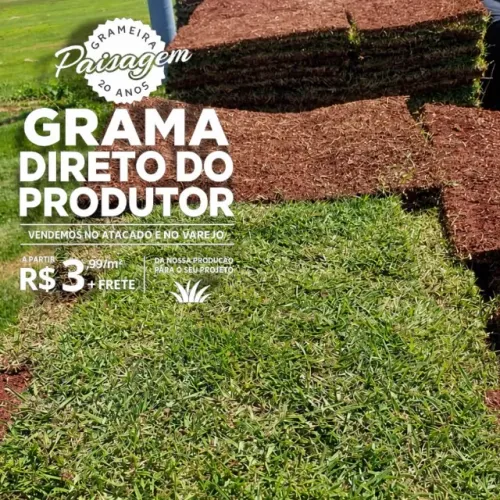 Grama Esmeralda