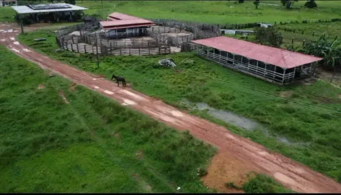 Excelente Fazenda com 1.500ha no Km 20 da BR319 no Careiro. Incríveis 1.000ha abertos