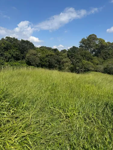 Terreno rural