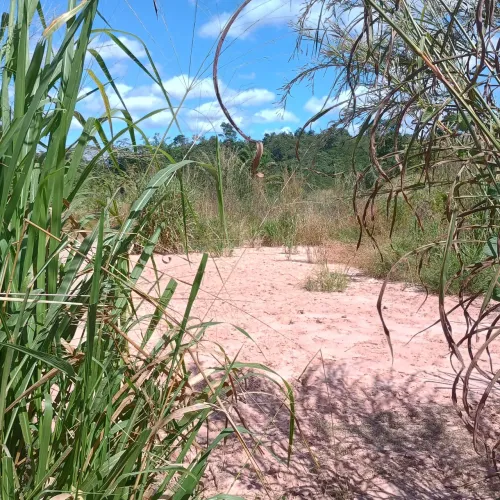 Venda de terreno na região sudeste de Teresina
