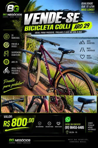 Bicicleta aro 29