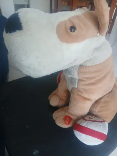 cão spock cozinheiro falante