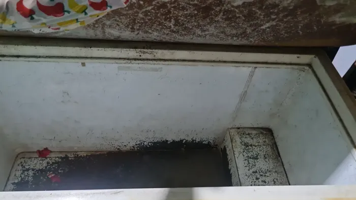 Freezer horizontal