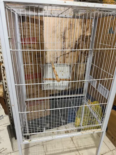 Gaiola para papagaio