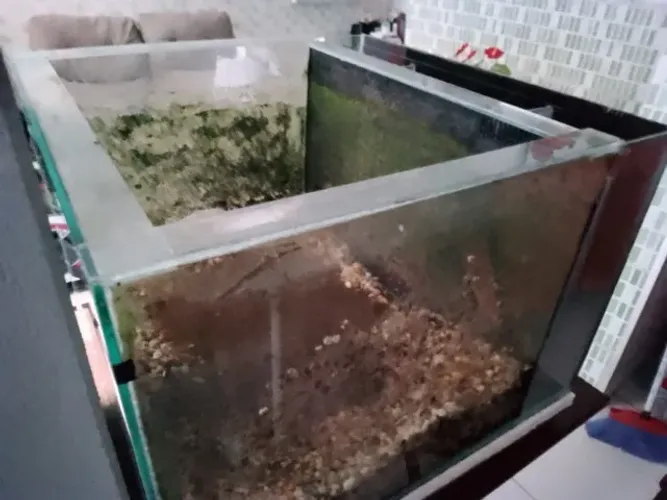 VENDE-SE AQUÁRIO 60X60 CM E VIDRO GROSSO (6 MM DE ESPESSURA) COM SUMP E PRATICAMENTE NOVO