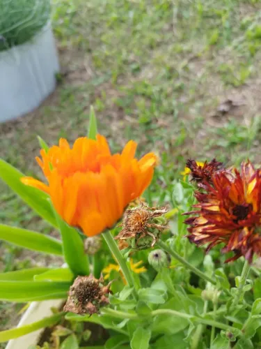 Terreno oportunidade 2.506 MT Chácara Fernão Dias Parque Caeté Bragança Paulista