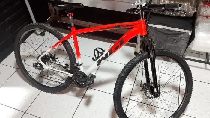 ARO 29