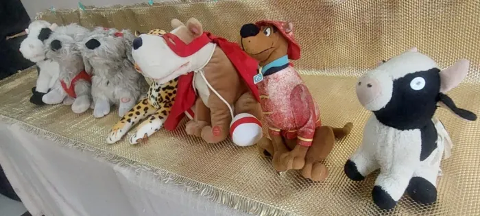 Pelucias cão spock vaca scooby doo onça são 7 pelucias todas no estado conforme fotos