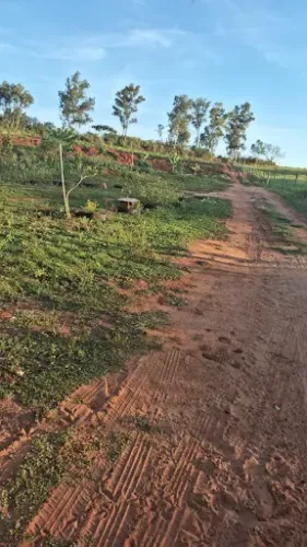 Chácara com 3 dormitórios à venda, 15000 m² por R$ 800.000,00 - Rural - Presidente Castelo