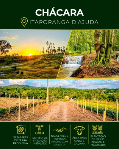 Chácara Produtiva à Venda em Itaporanga dAjuda  35 Tarefas, Nascentes, Irrigação e Produçã