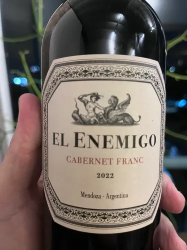 Vinho Argentino El Enemigo Cabernet Franc 2022