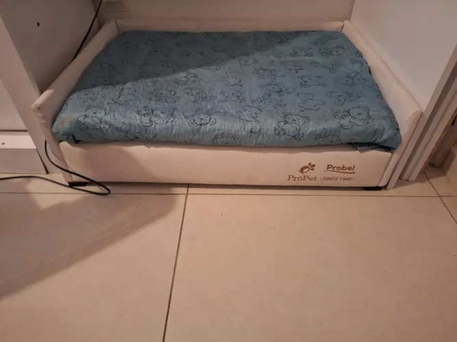 OPORTUNIDADE! CAMA PET PROBEL PET USADA - R$250.