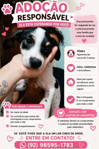 doação FILHOTE FÊMEA