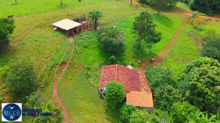 Chácara à Venda em Santa Isabel - GO | 7,60 Alqueires |Completa e Produtiva