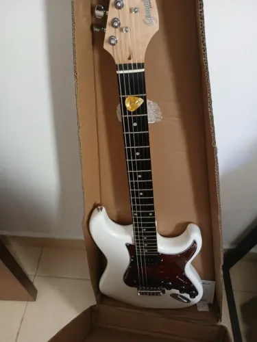 Guitarra Gianini g102