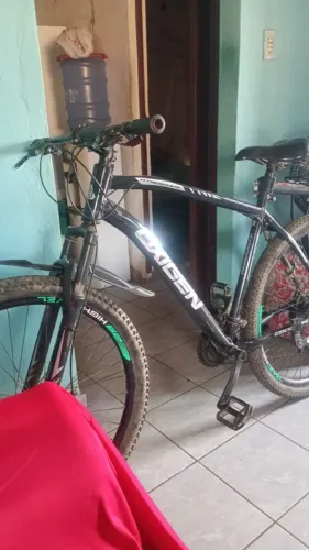 Bicicleta aro 29
