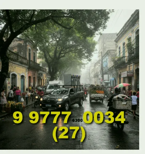 Frete/Mudança com ou s/ montador Marcos