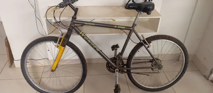 Bicicleta