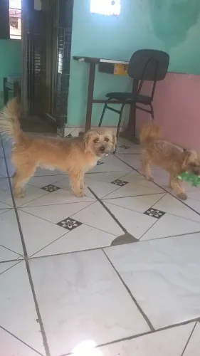 Doação