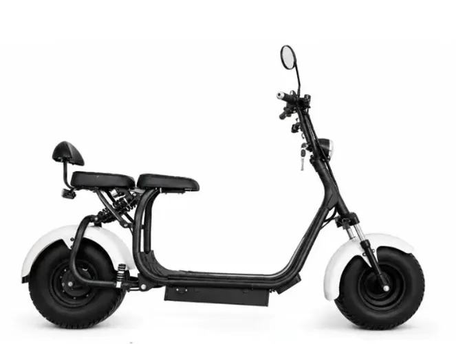 Scooter eletrica 2000w