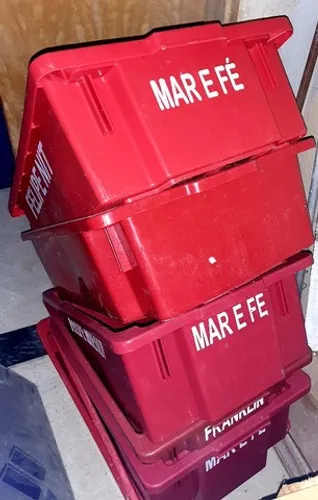 5 caixas de peixe por 200 reais tudo