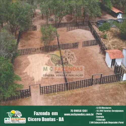 Fazenda à Venda em Cicero Dantas - BA | Fazenda de Pecuária à Venda na Bahia