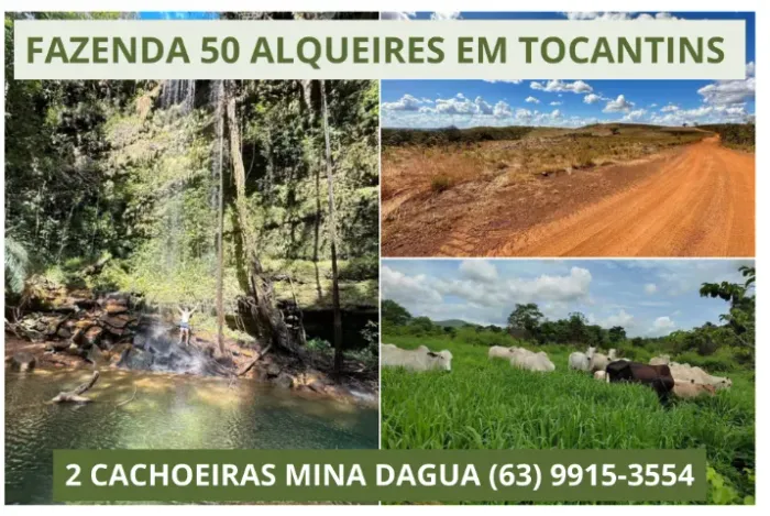 Fazenda em Tocantins , Terra, Lavoura, Platanção, Soja, Cana, Canavial, Cercada, Chacara, 