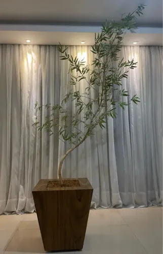 BAMBU MOSSO / FOLHAGEM / DECORAÇÃO