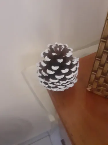 Pinhas de Natal