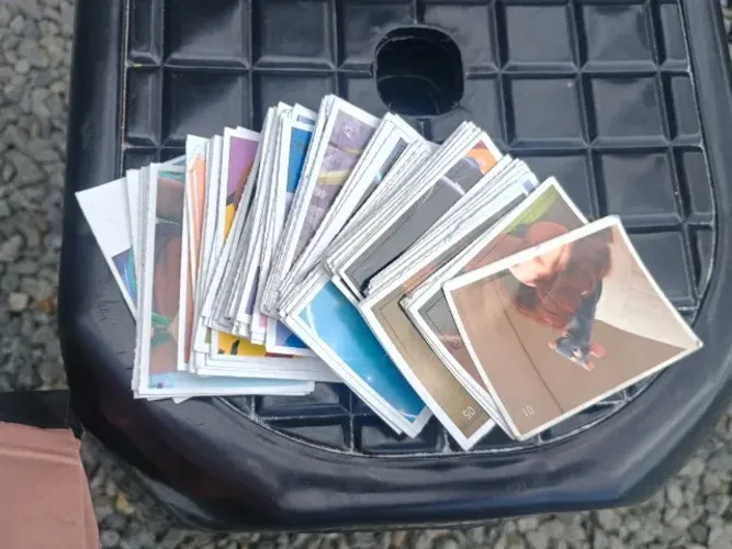 Figurinhas álbum  A cozinha Mágica Disney 