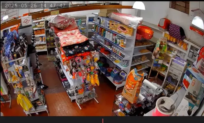 Pet Shop - Santo André - 76 mil