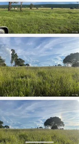 Fazenda dupla aptidão município do Prata
