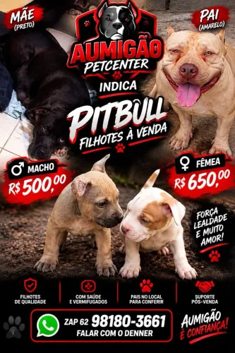Filhotes