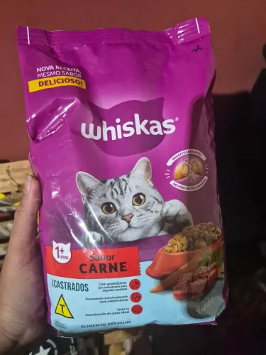 Ração e are pra gato