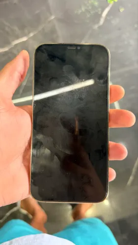 iPhone 12 Pro Max