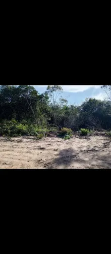 Terreno grande 15 por 40 no santa Maria