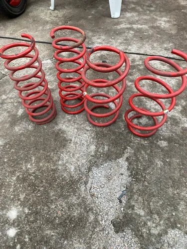 Molas esportivas