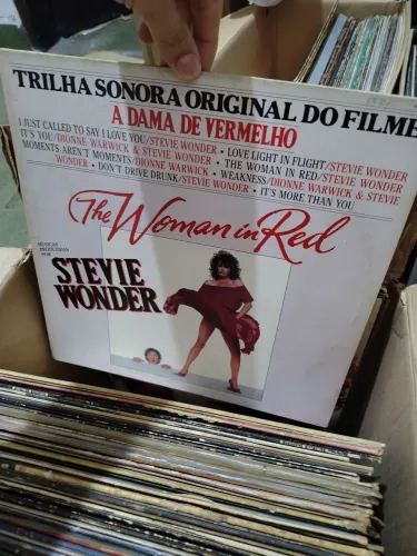 Lote vinil 130 discos (coleção pessoal)