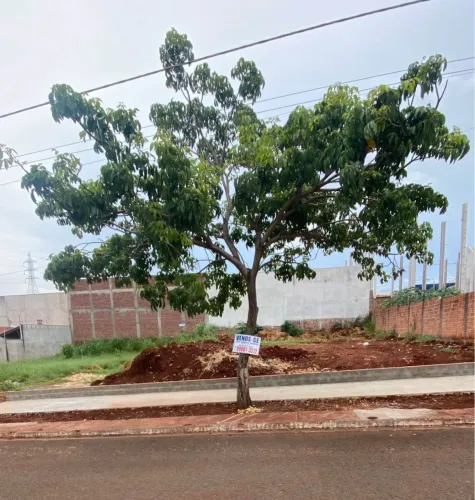 Terreno 400mt bairro bom jardim Maringá