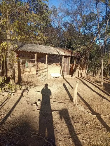 Chácara à venda em Campos Belos - GO ? 10 km da cidade (apenas 5 km de estrada de chão)