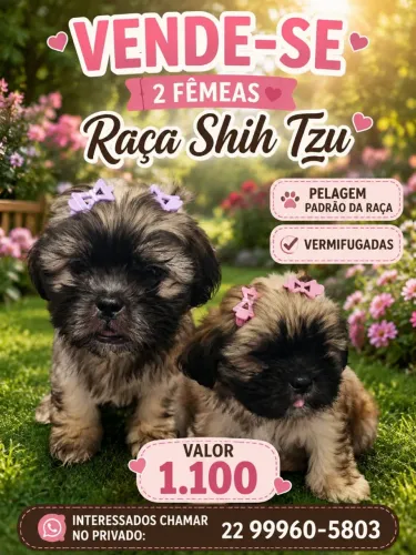 Vende-se