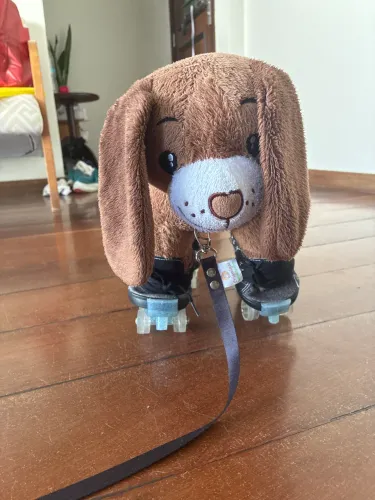 Cachorro criamigos com bota e coleira